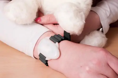 Epi-Care free Sensor